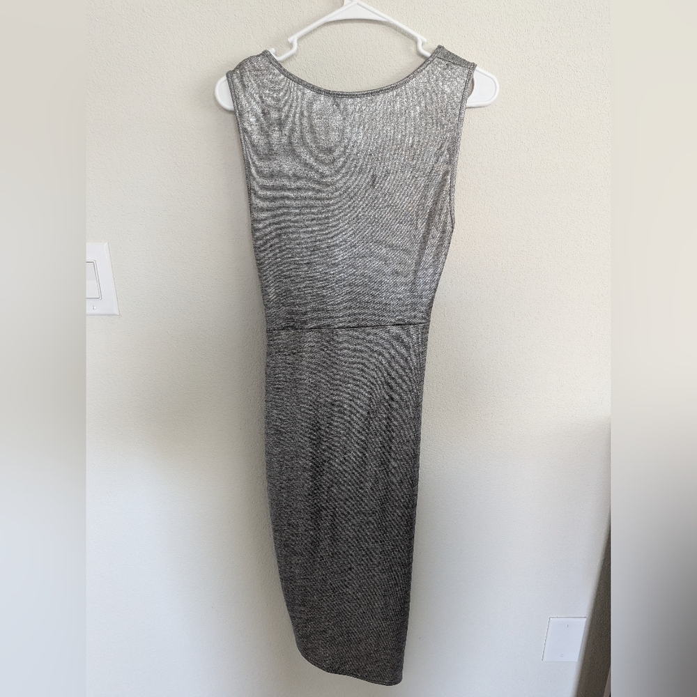 Silver Dress - Picture 2 of 3